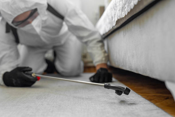 Professional Bed Bug Control technician working in Chambers County County, TX